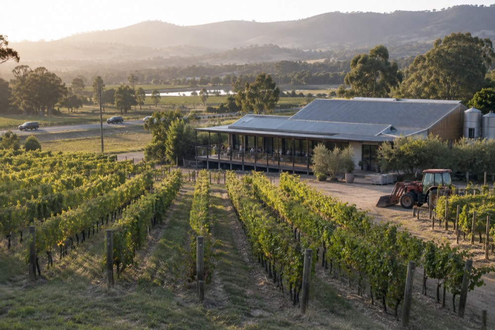 Vineyard rows and a winery building seen across a valley floor in the Yarra Valley