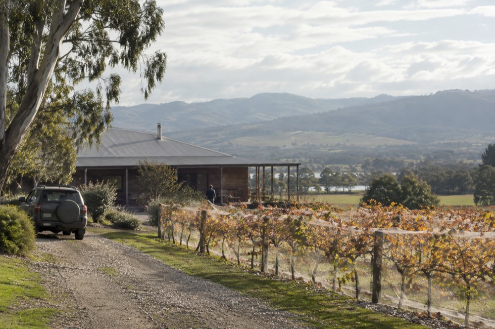 A vineyard cellar door building with rows of vines in front and hills behind