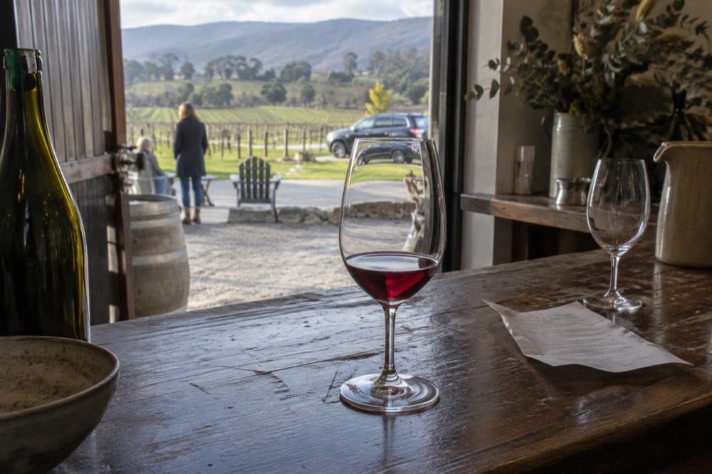 A tasting glass of red wine on a wooden bar in a cellar door