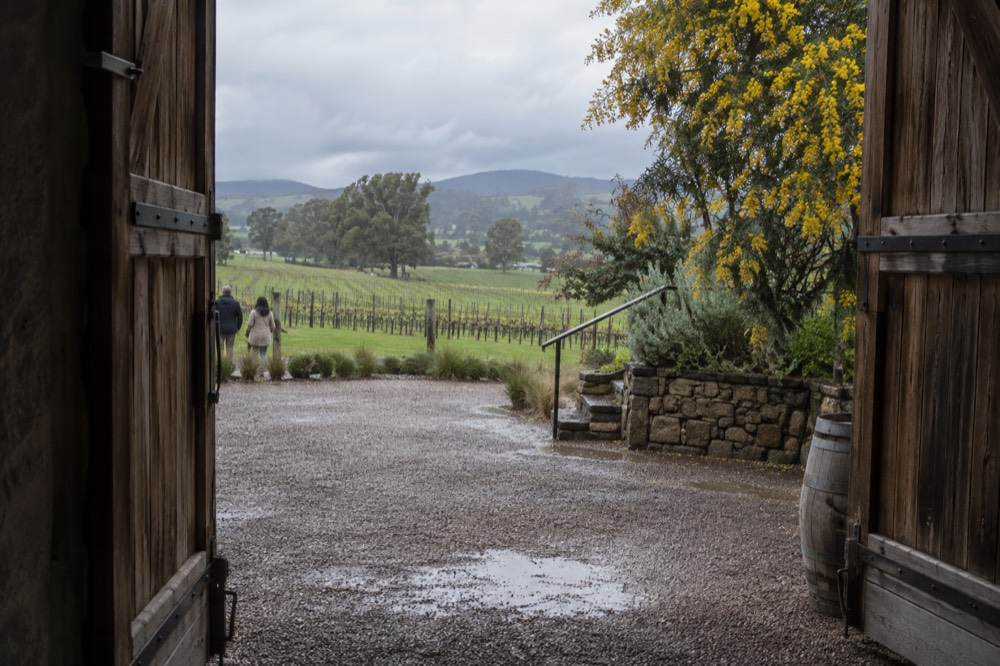 A cellar door building with timber doors opening onto a vineyard terrace