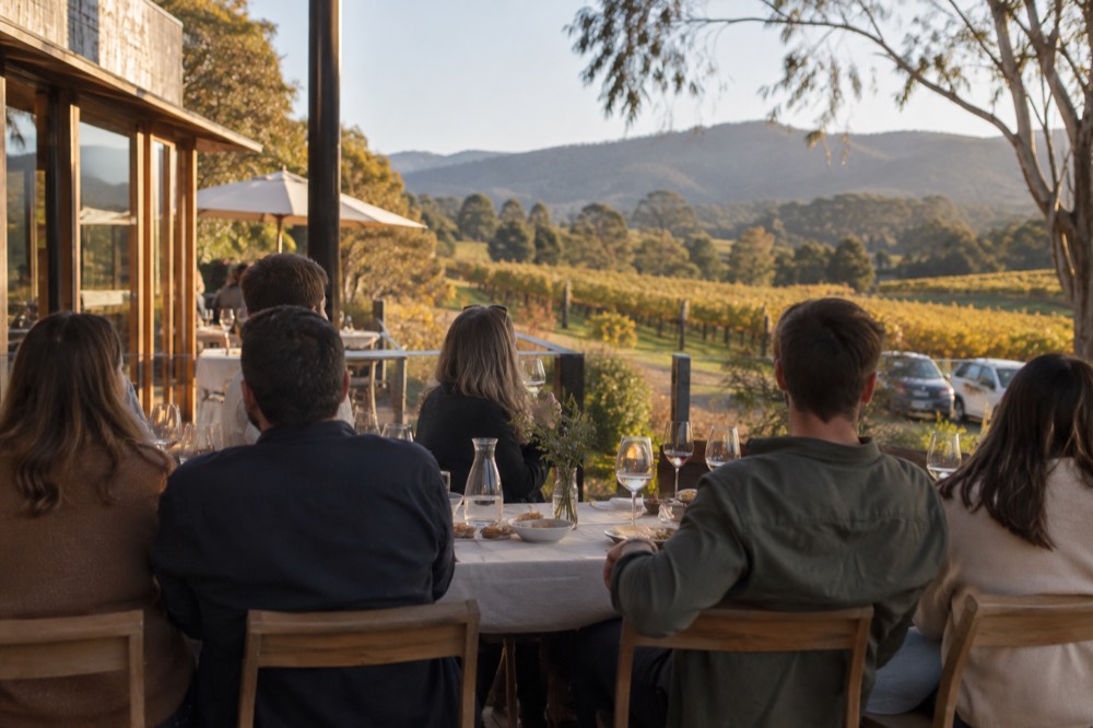 Long table set for lunch on a terrace overlooking vineyards