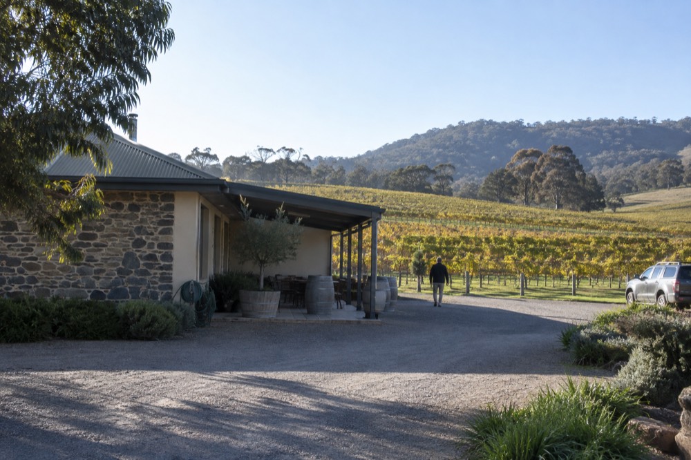 Vineyard rows and a low stone winery building on a clear morning in the Yarra Valley