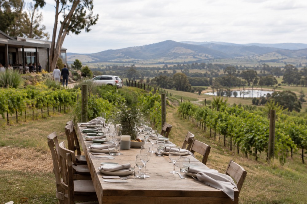 A long lunch table set among vine rows at a Yarra Valley winery