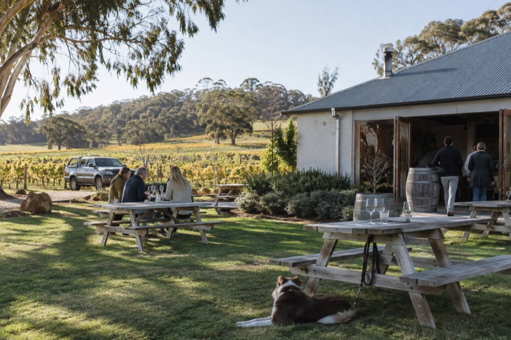 Small winery building with outdoor picnic tables set on a lawn among vines