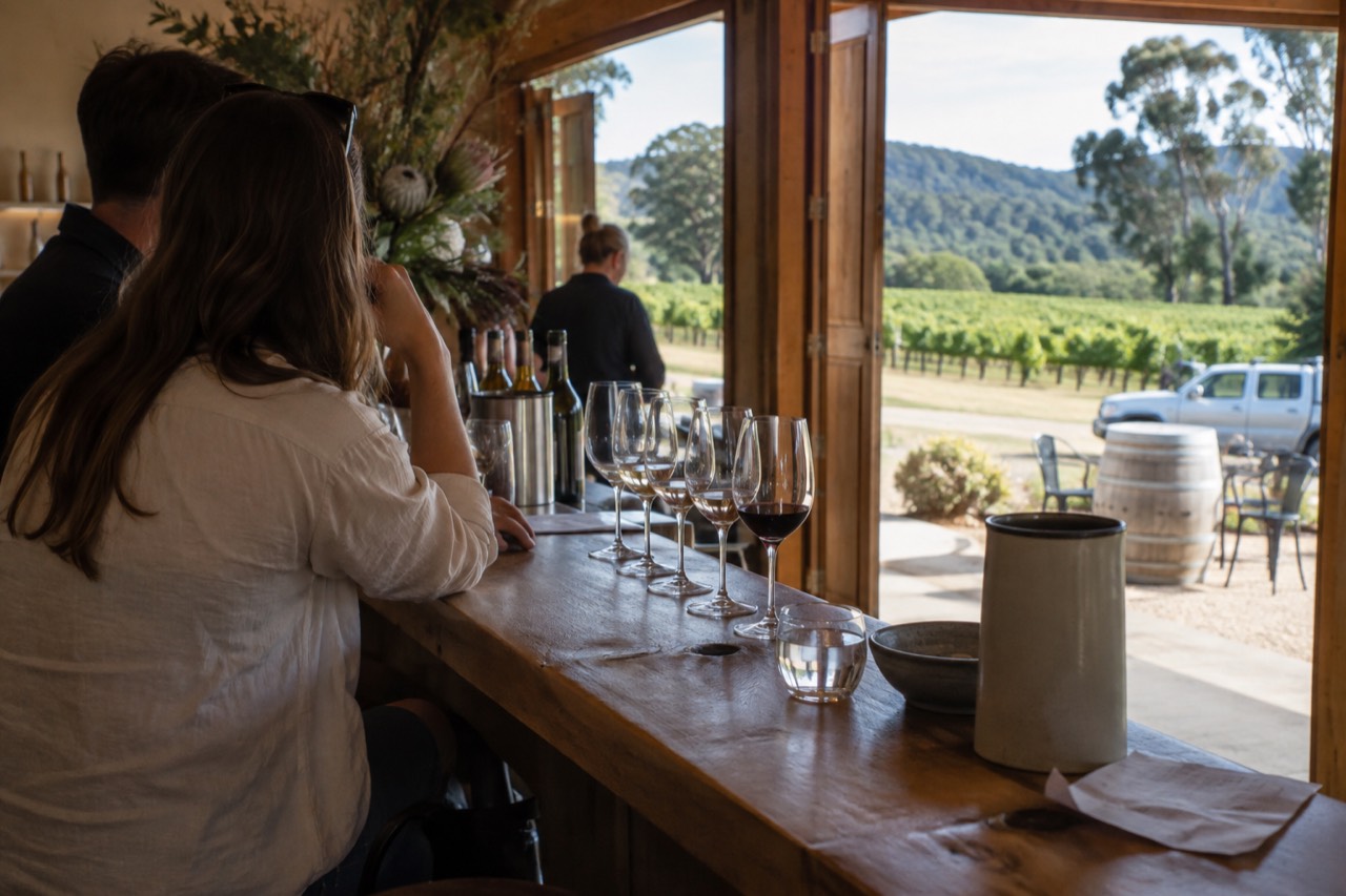 Cellar door tasting counter with wine glasses lined up along a timber bar