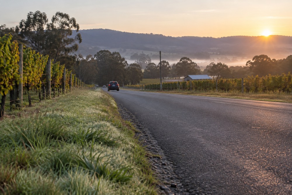A narrow country road between vineyards with no footpath and grass on the verge