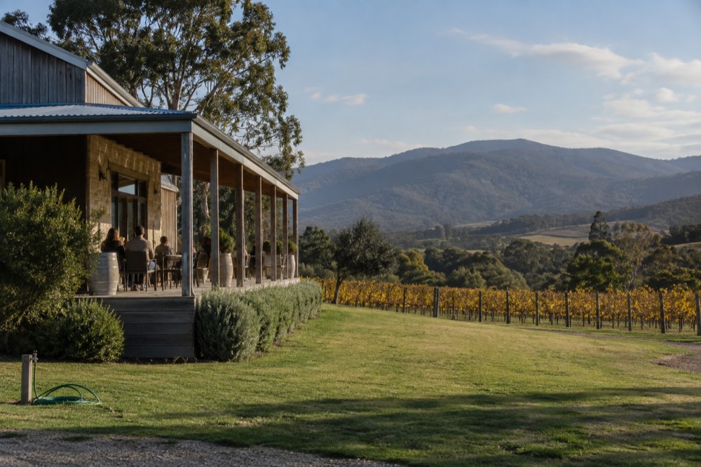 A cellar door building beside vine rows with hills behind it under afternoon light