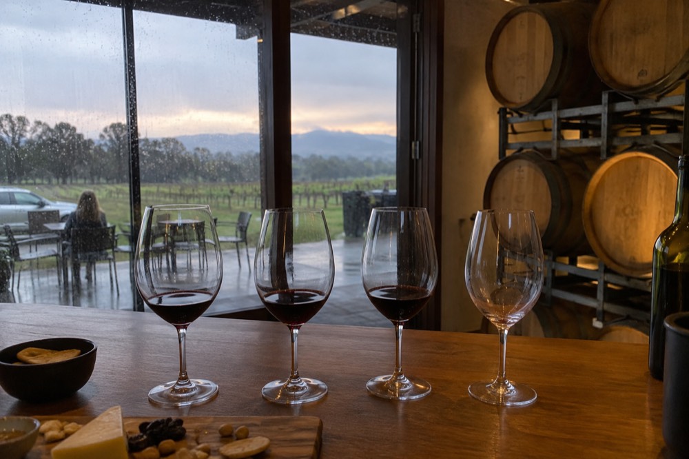 A tasting flight of red wine glasses lined on a cellar door bar with oak barrels behind