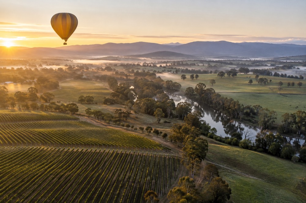 A hot air balloon floating above rolling green vineyards and a winding river in early morning light