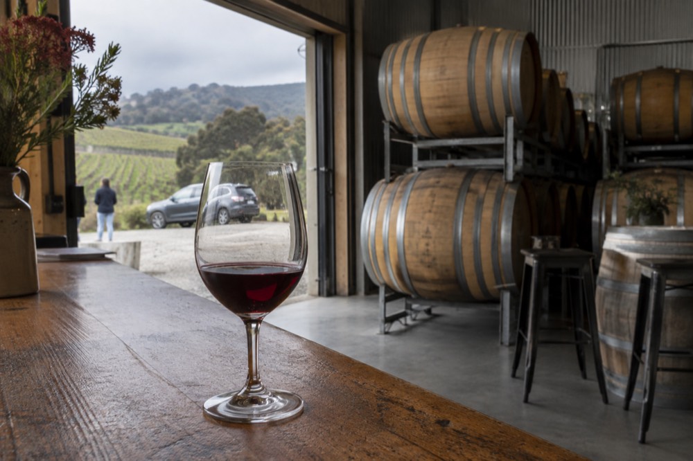 A hand holding a glass of red wine above a wooden cellar door counter with barrels behind