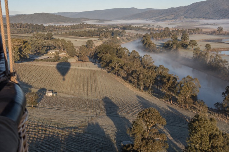 A hot air balloon's shadow crosses frosted Yarra Valley vineyards at dawn, mist pooled along the river bend below.