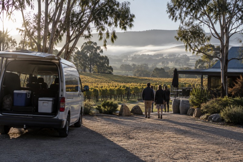 A tour minibus parked on a gravel driveway beside vineyard rows in morning mist