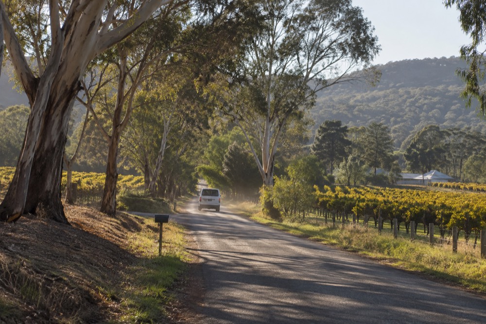 A small van travelling along a tree-lined valley road with vineyards on both sides