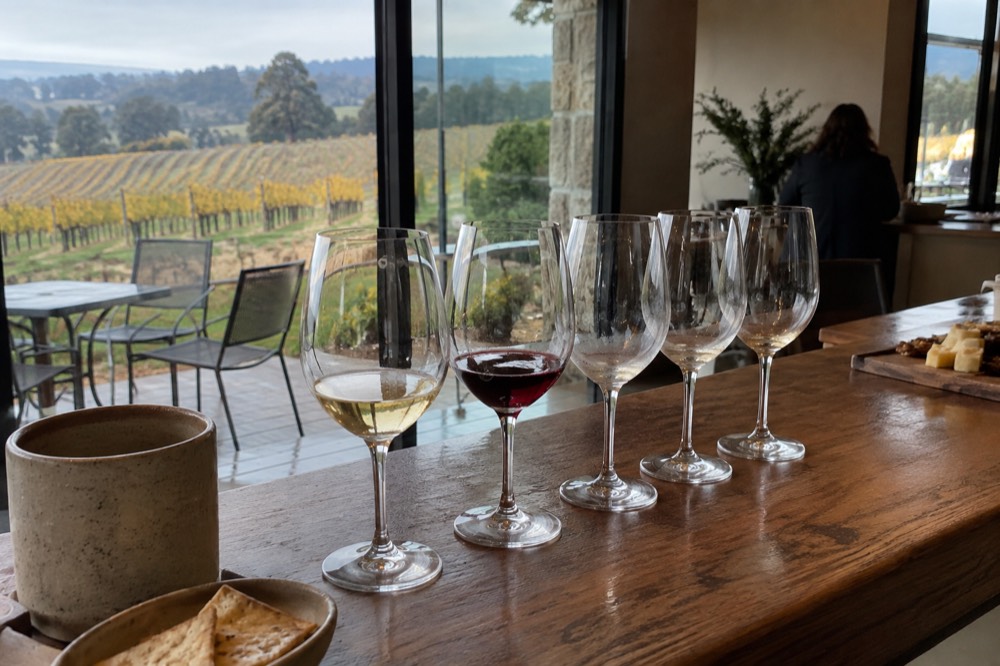 Tasting glasses lined on a timber cellar door bar with vineyard views through the window