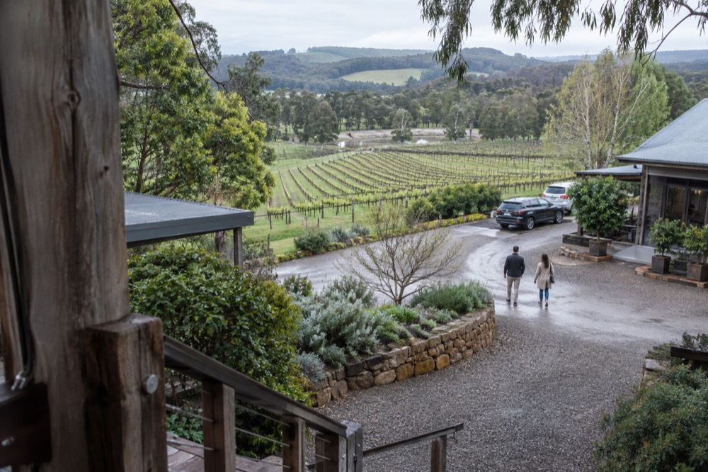 Wooden signpost at a vineyard entrance pointing toward the cellar door and tasting room
