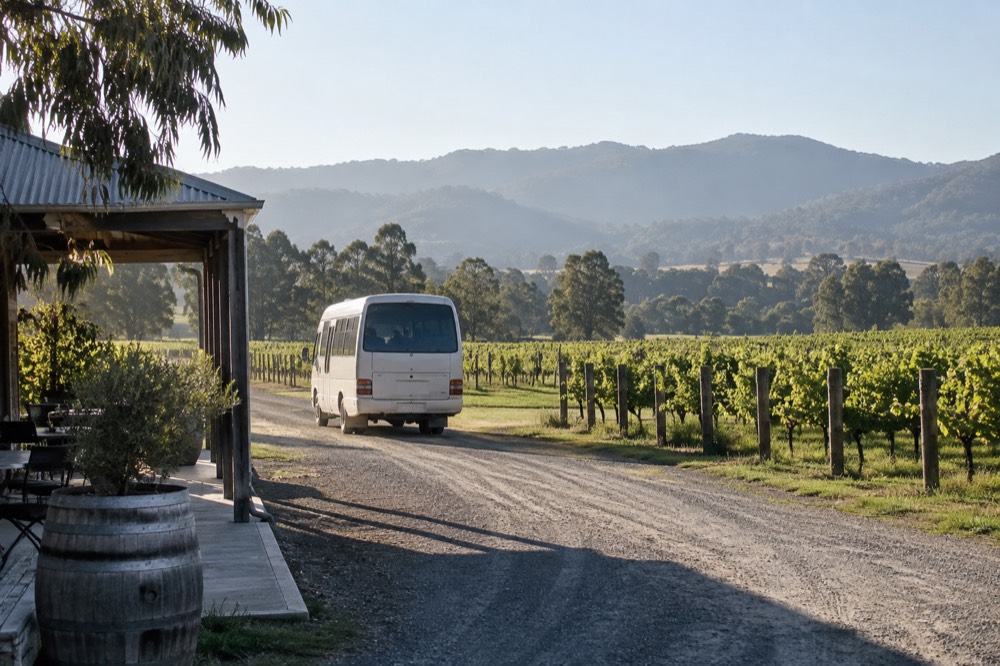 Small minibus parked on a gravel drive beside vineyard rows in morning light
