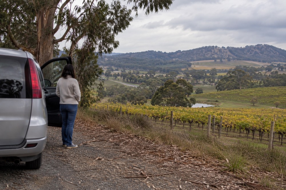 A driver standing beside an open car door on a country road with vineyard hills behind