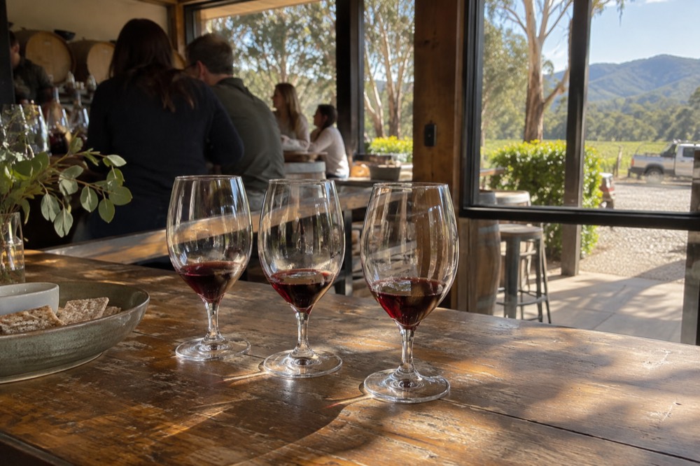 A group of friends sharing a tasting flight at a wooden cellar door bar