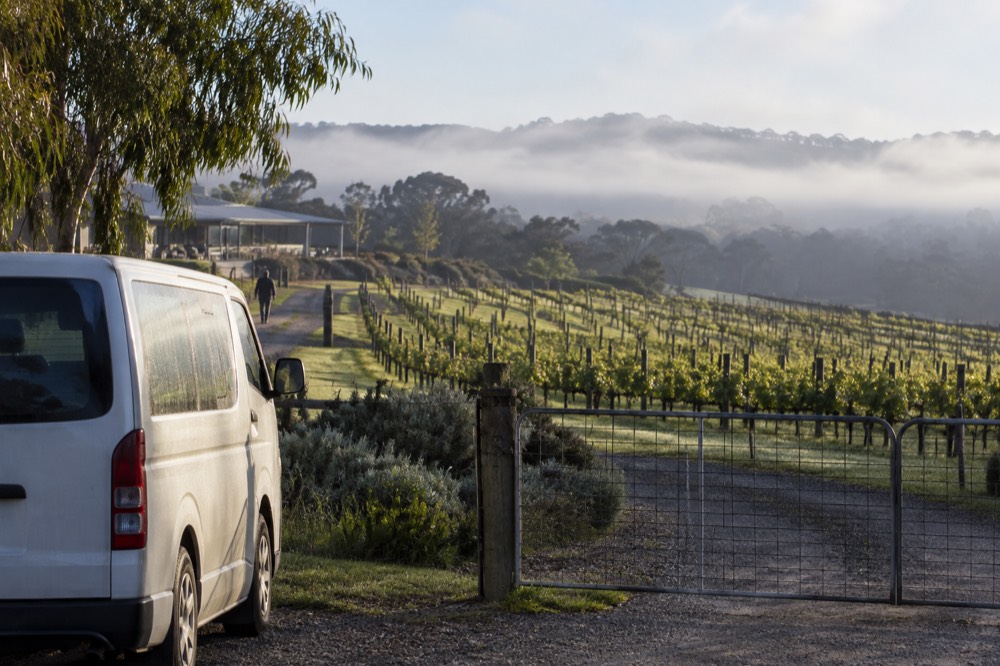 Guests boarding a small van at a vineyard gate in the morning
