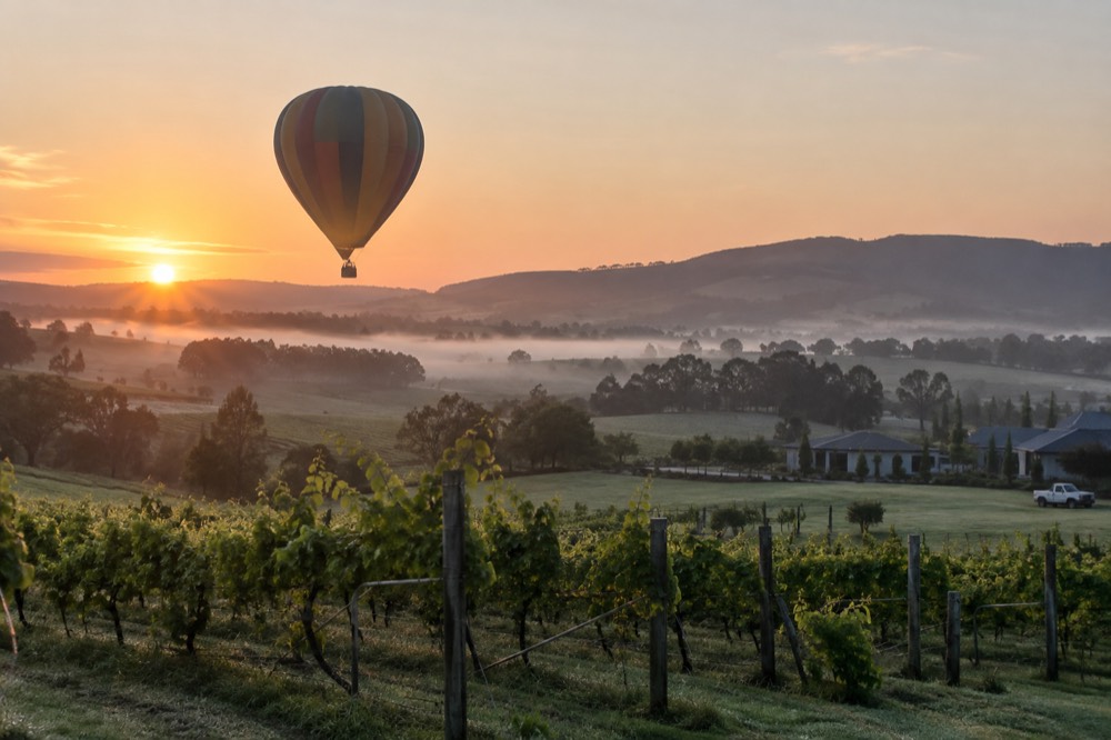 A hot air balloon drifting low over vineyard rows at sunrise