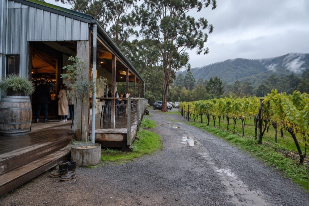 Gravel path between a cellar door building and vineyard rows on an overcast day