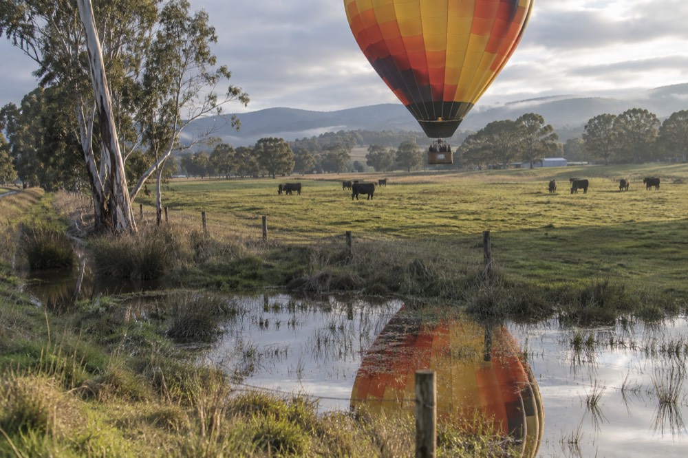 Balloon descending gently toward an open paddock landing site