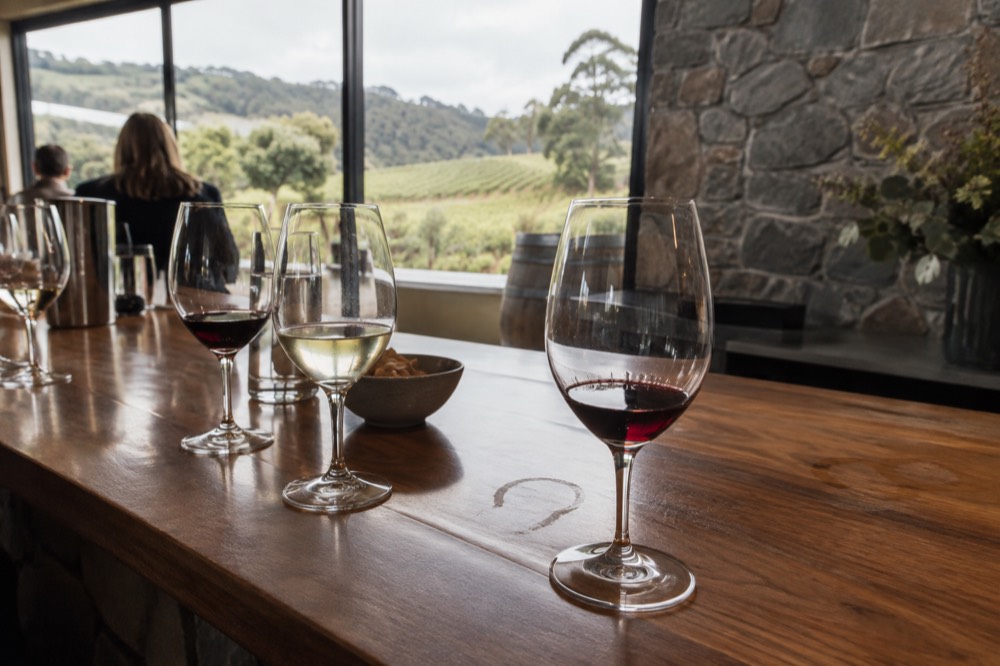 Cellar door tasting counter with glasses of red and white wine lined up on a timber bar