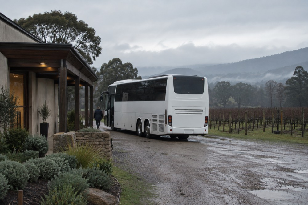 Vineyard driveway with a tour bus parked beside a cellar door entrance