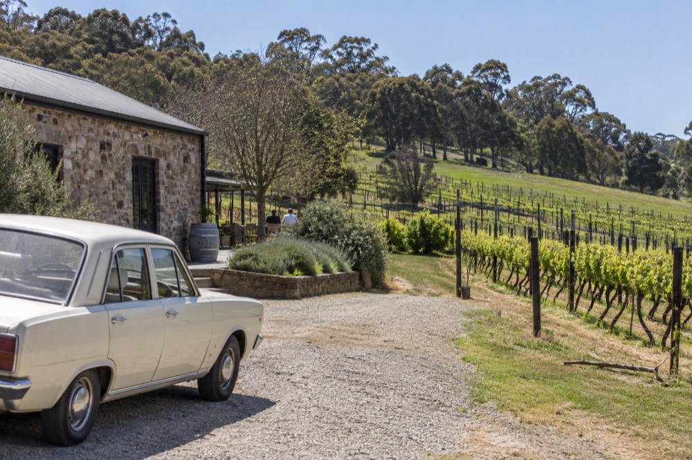 Vintage car parked on a gravel drive beside a stone winery building among vines