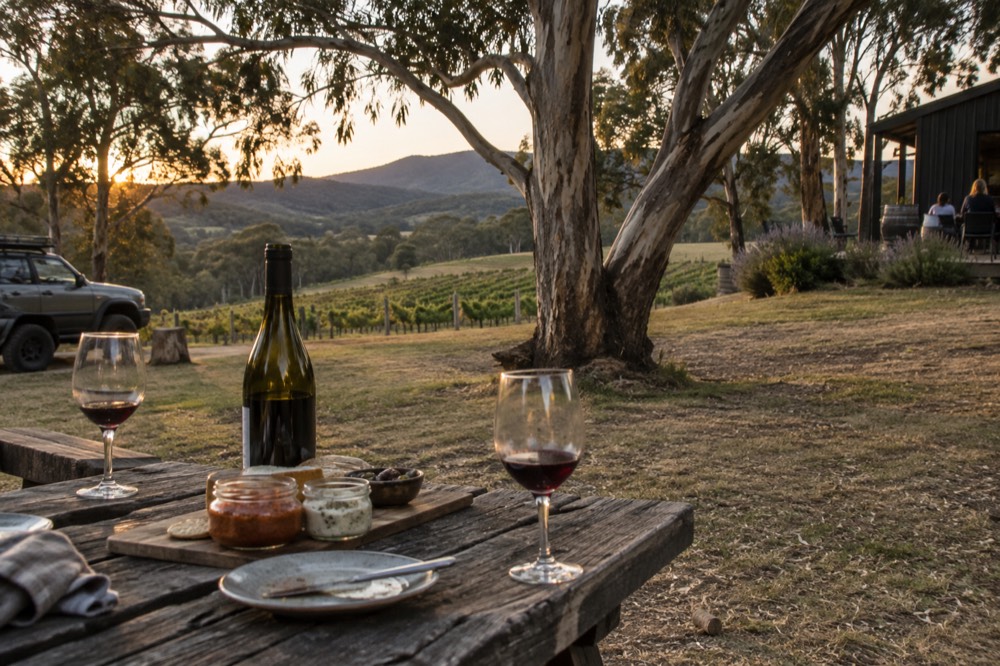 Picnic table with wine bottles and glass jars on a winery lawn under trees