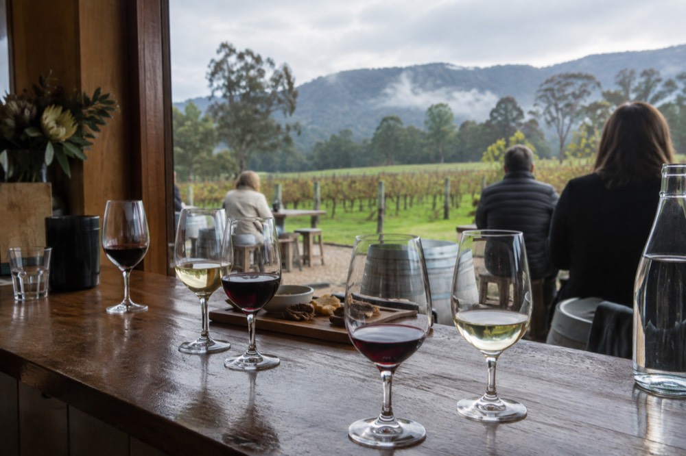 A cellar door tasting counter with glasses of red and white wine lined up
