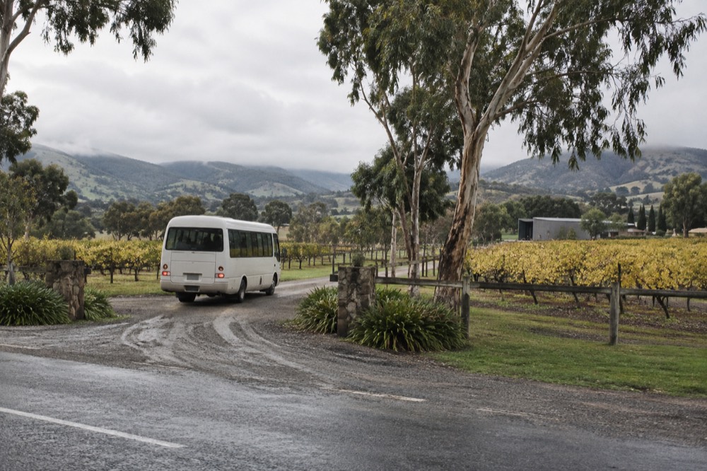 A country road through vineyards with a bus turning into a winery driveway