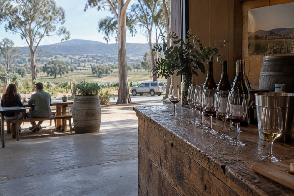 A cellar door tasting counter with wine glasses lined up beside open bottles