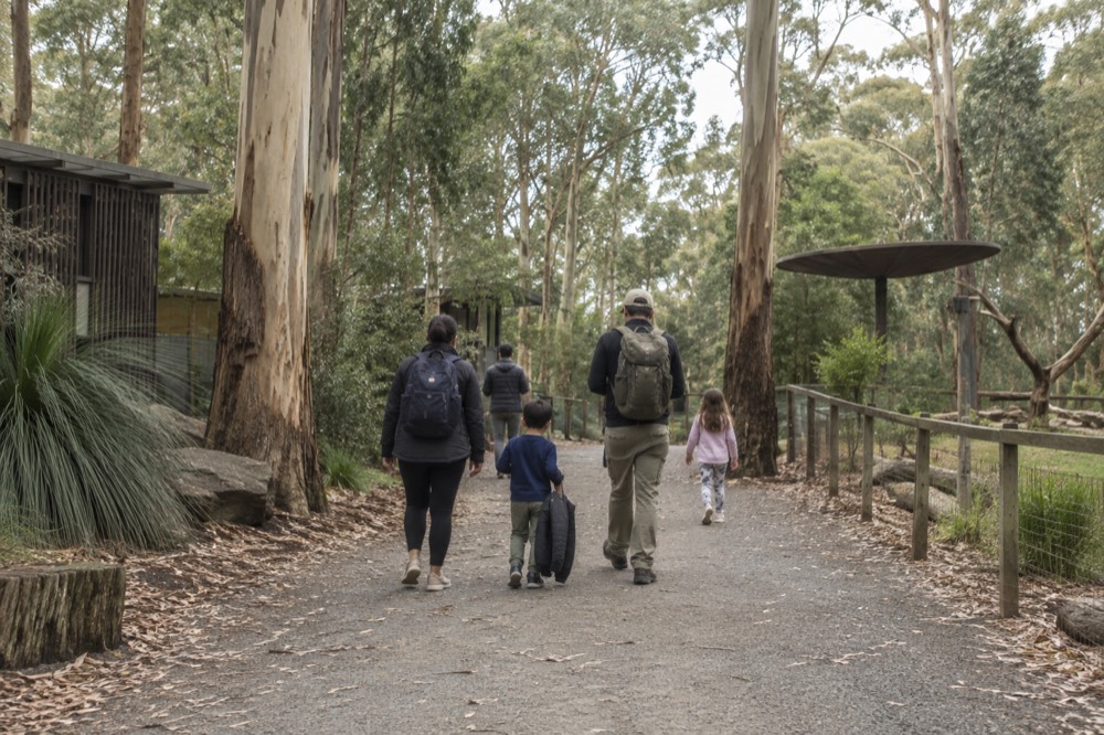 Families walking a gravel path through tall trees in a wildlife sanctuary