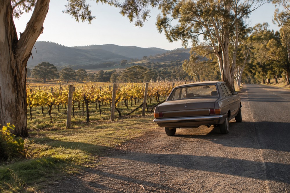A vintage car parked on a country road beside vineyards in the late afternoon