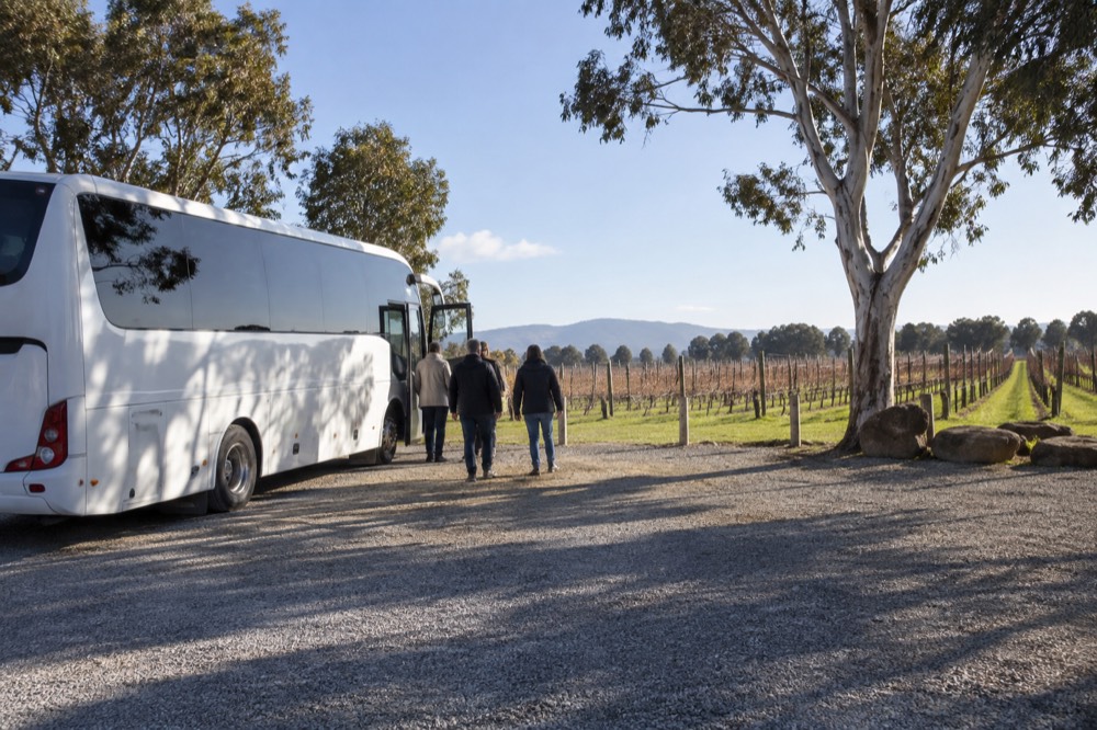A tour coach parked on a winery driveway with vineyards behind