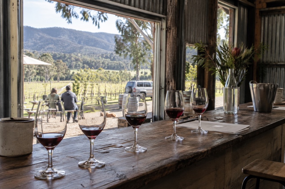 A tasting flight of red wine glasses lined along a timber cellar door bar
