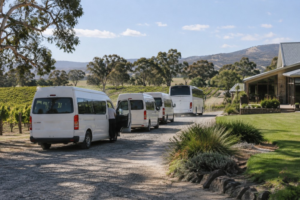 A small group of tour vehicles lined up in a row beside a winery driveway