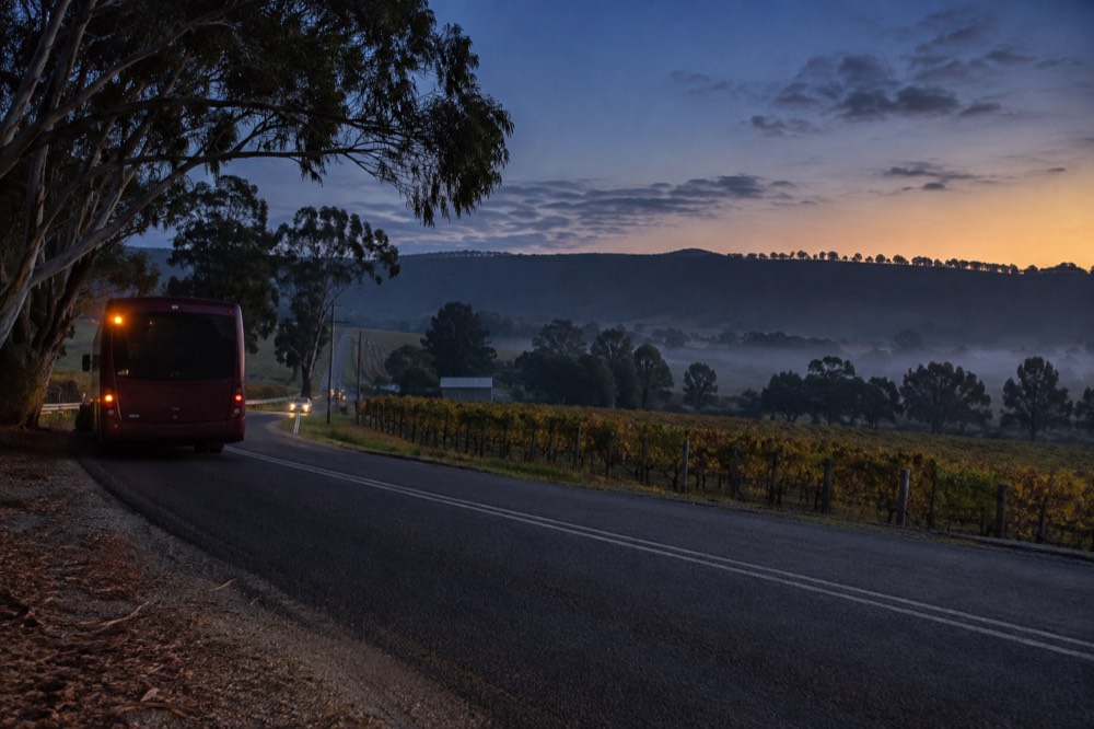 A country road at dusk with vineyard rows on both sides and a bus indicator glowing