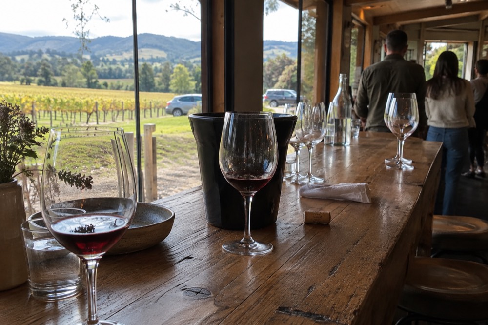 A small group standing at a cellar door tasting bench with glasses of red wine