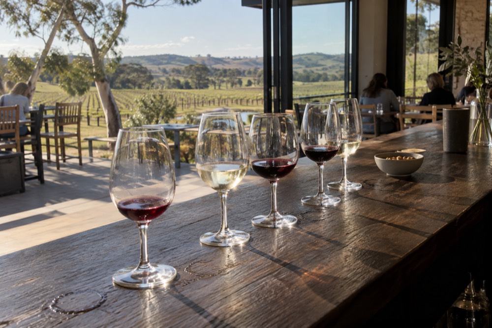 A tasting flight of red and white wines lined up on a timber bar