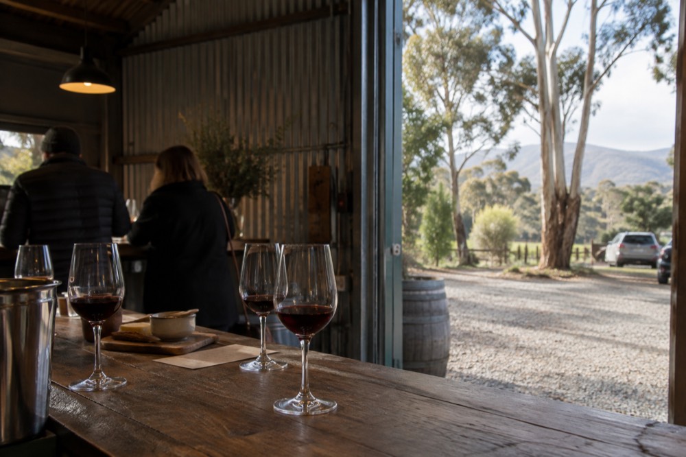 Small group standing at a cellar door tasting bar with glasses of red wine